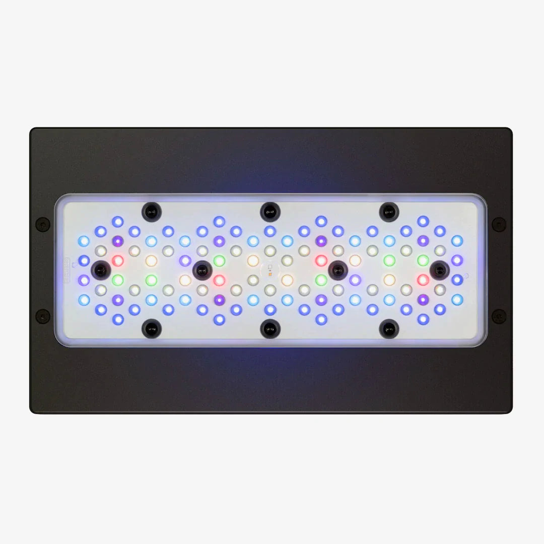 Led Rancha LED Lights – Reef Ranch